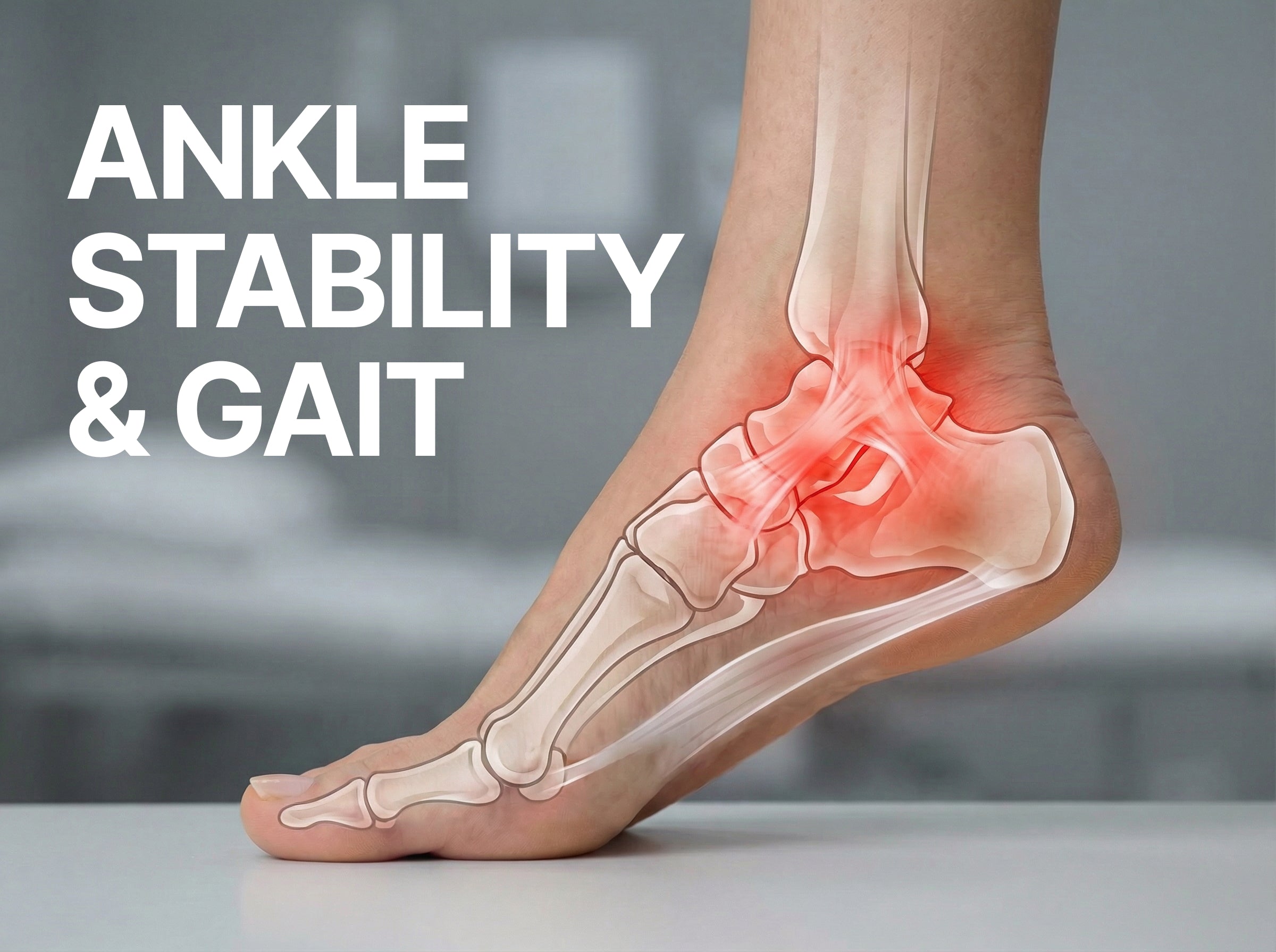 Ankle Stability & Gait - Women's