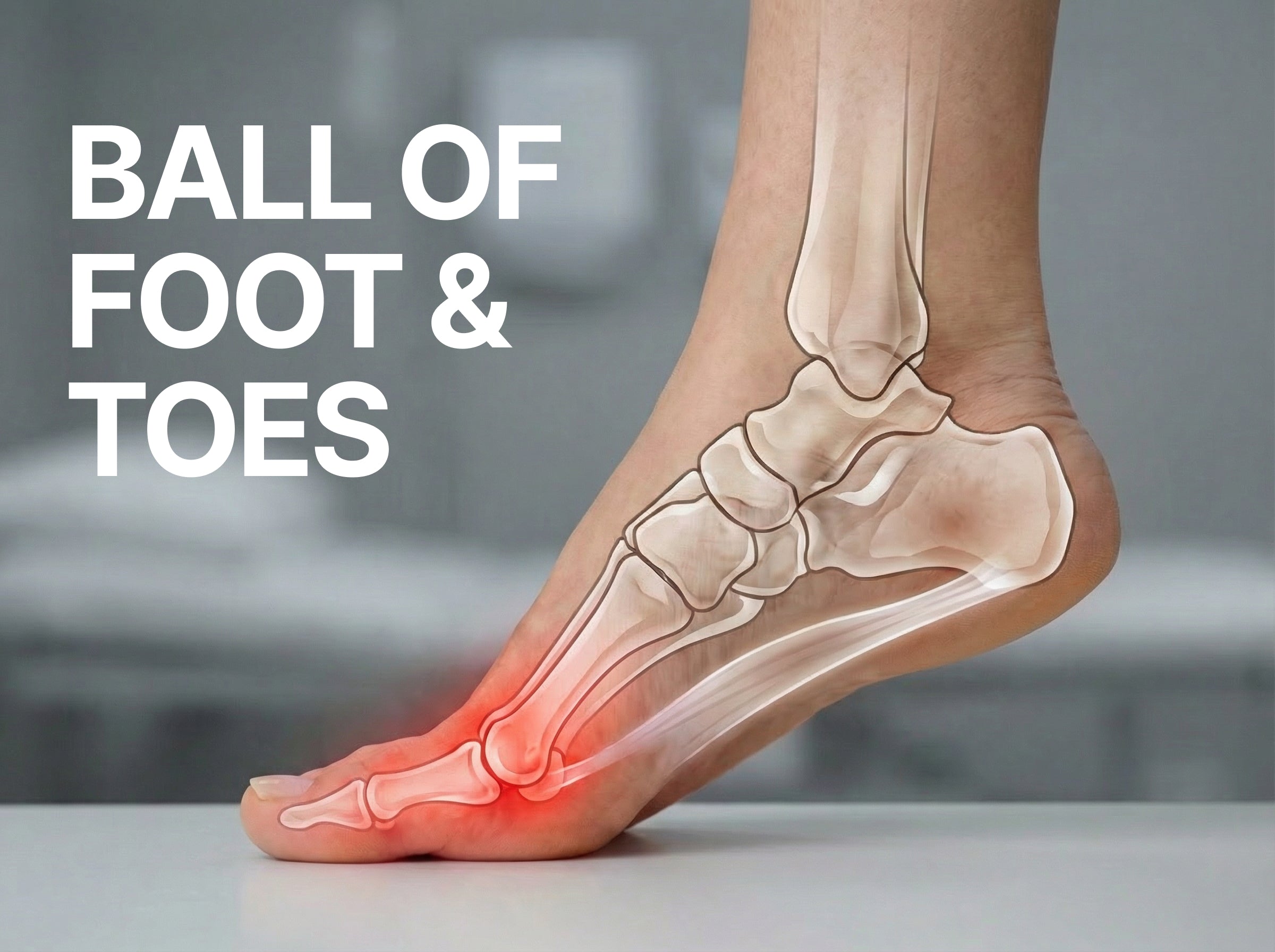 Ball of Foot & Toes - Women's